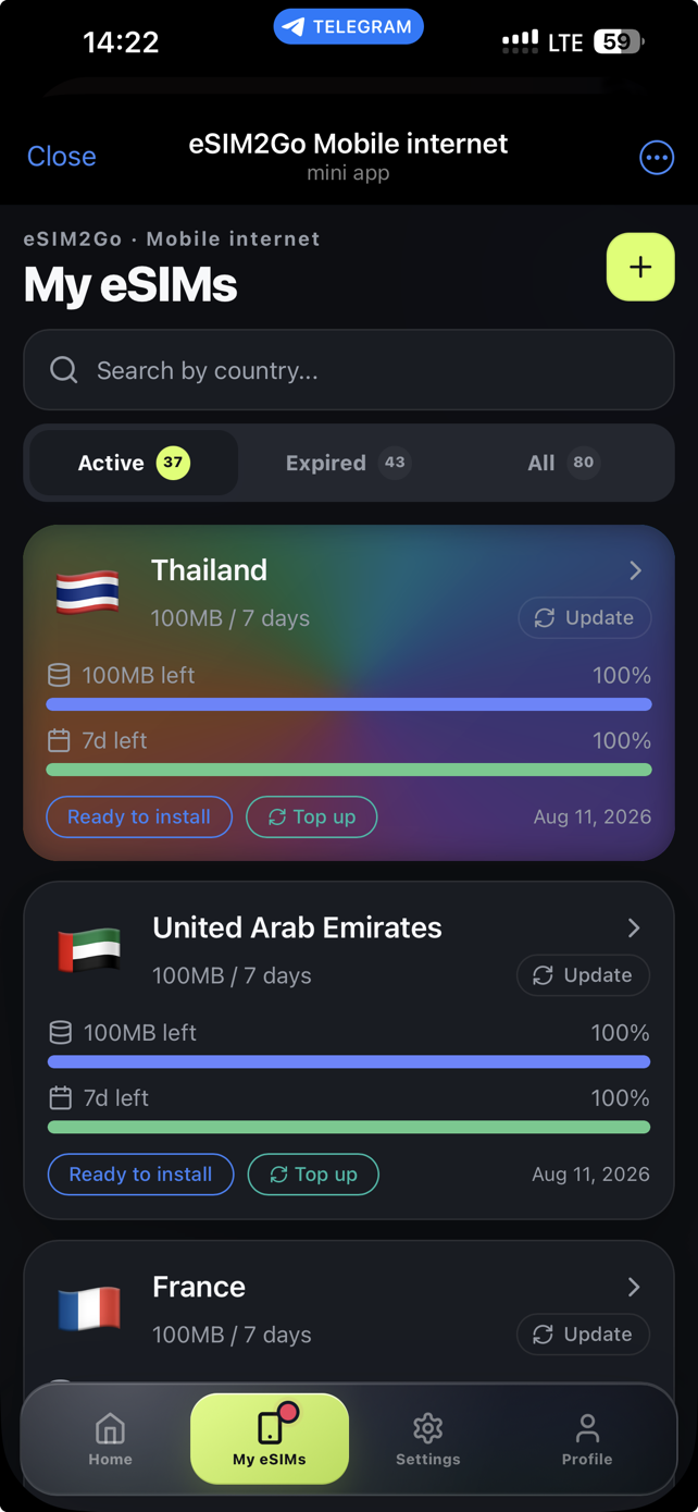 eSIM2Go Telegram mini app with active eSIMs and remaining traffic